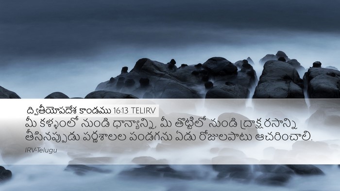ద్వితీయోపదేశ కాండము 16:13 TELIRV Bible Verse Image