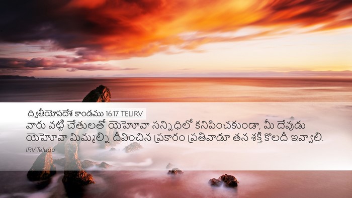 ద్వితీయోపదేశ కాండము 16:17 TELIRV Bible Verse Image