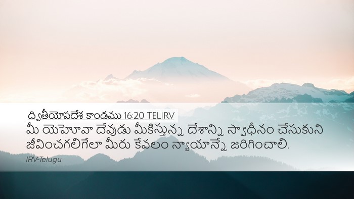 ద్వితీయోపదేశ కాండము 16:20 TELIRV Desktop Wallpaper - మీ యెహోవా దేవుడు - Desktop Bible Verse Wallpaper
