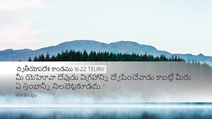 ద్వితీయోపదేశ కాండము 16:22 TELIRV Bible Verse Image