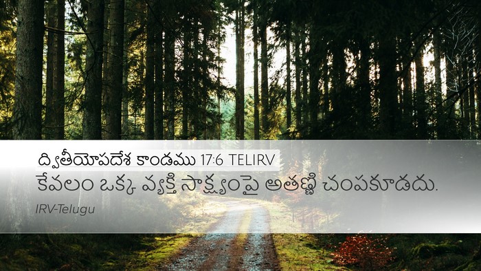 ద్వితీయోపదేశ కాండము 17:6 TELIRV Bible Verse Image