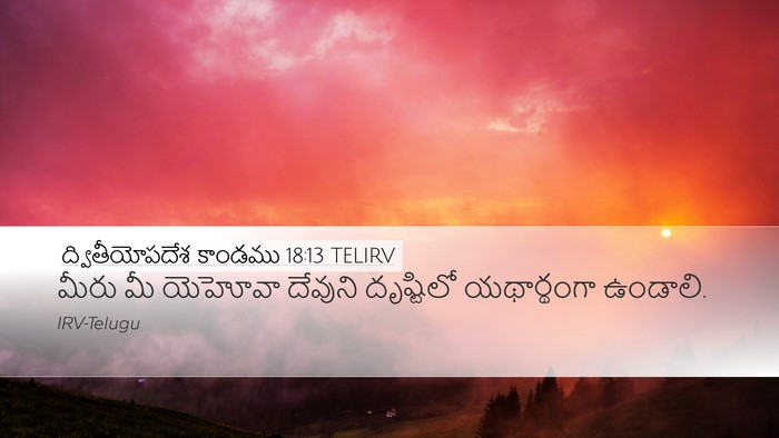 ద్వితీయోపదేశ కాండము 18:13 TELIRV Bible Verse Image