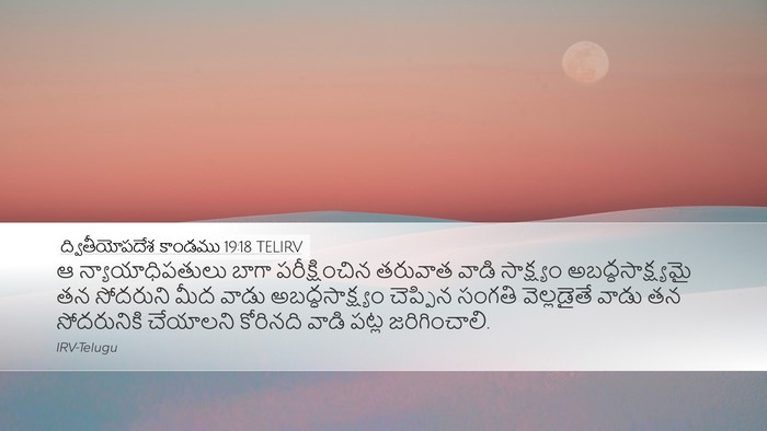 ద్వితీయోపదేశ కాండము 19:18 TELIRV Bible Verse Image