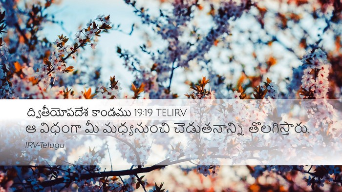 ద్వితీయోపదేశ కాండము 19:19 TELIRV Bible Verse Image