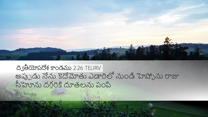 ద్వితీయోపదేశ కాండము 2:26 TELIRV Bible Verse Image
