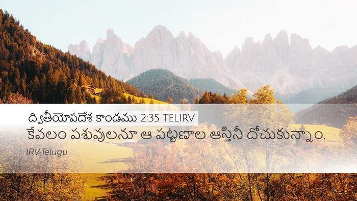 ద్వితీయోపదేశ కాండము 2:35 TELIRV Bible Verse Image