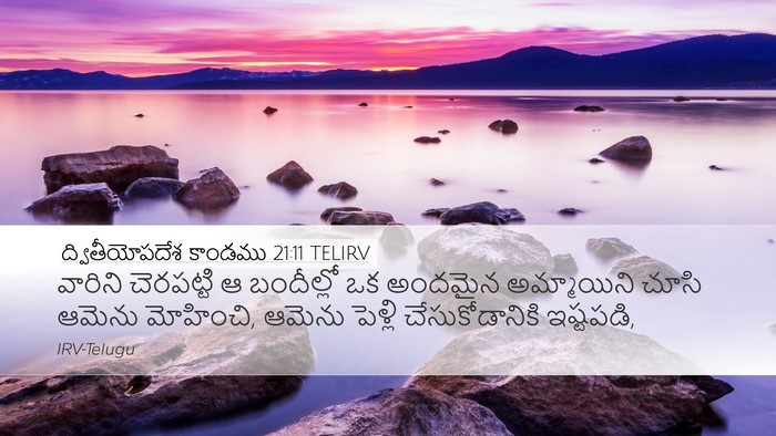 ద్వితీయోపదేశ కాండము 21:11 TELIRV Bible Verse Image