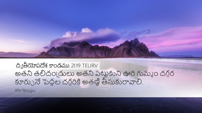 ద్వితీయోపదేశ కాండము 21:19 TELIRV Bible Verse Image