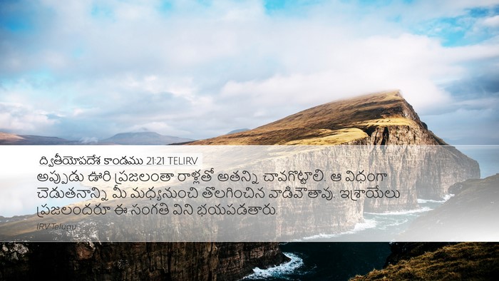 ద్వితీయోపదేశ కాండము 21:21 TELIRV Bible Verse Image