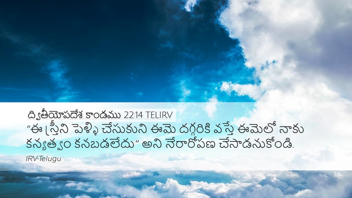 ద్వితీయోపదేశ కాండము 22:14 TELIRV Desktop Wallpaper - “ఈ స్త్రీని - Desktop Bible Verse Wallpaper
