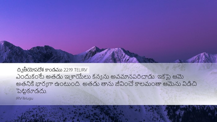 ద్వితీయోపదేశ కాండము 22:19 TELIRV Bible Verse Image