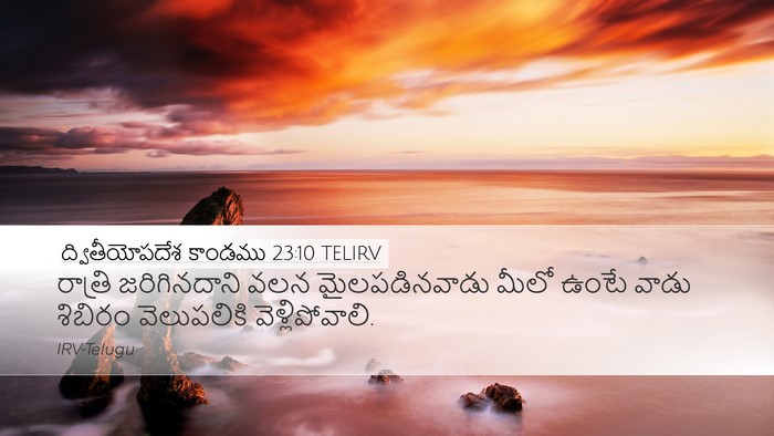 ద్వితీయోపదేశ కాండము 23:10 TELIRV Desktop Wallpaper - రాత్రి జరిగినదాని - Desktop Bible Verse Wallpaper