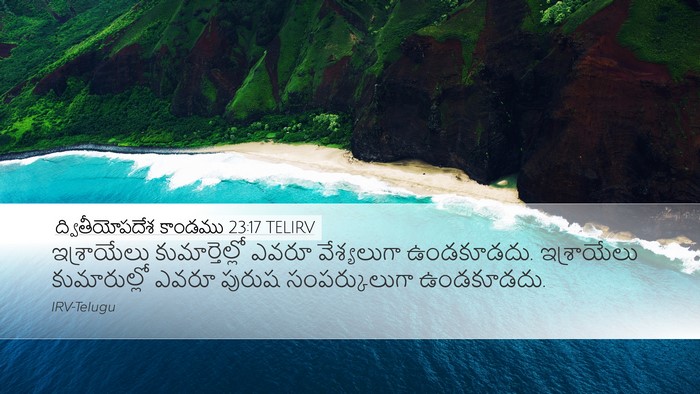 ద్వితీయోపదేశ కాండము 23:17 TELIRV Bible Verse Image
