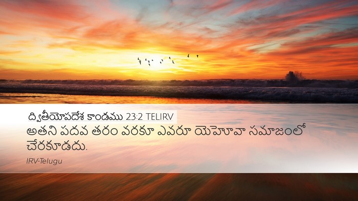 ద్వితీయోపదేశ కాండము 23:2 TELIRV Bible Verse Image
