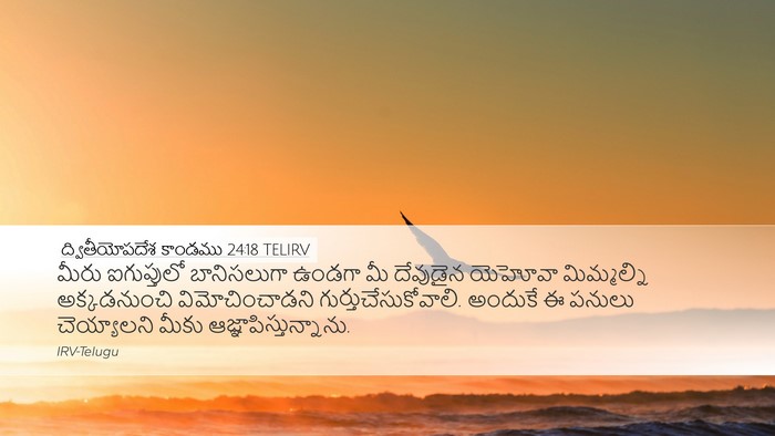 ద్వితీయోపదేశ కాండము 24:18 TELIRV Bible Verse Image