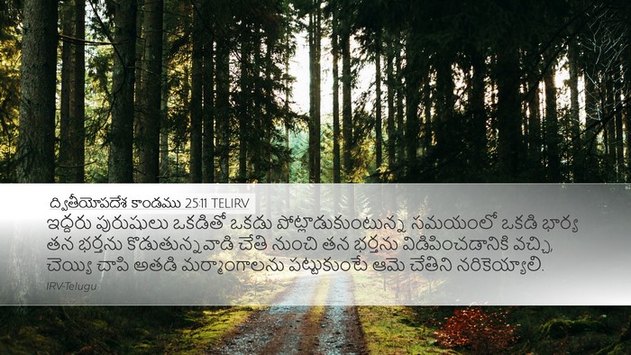 ద్వితీయోపదేశ కాండము 25:11 TELIRV Desktop Wallpaper - ఇద్దరు పురుషులు - Desktop Bible Verse Wallpaper