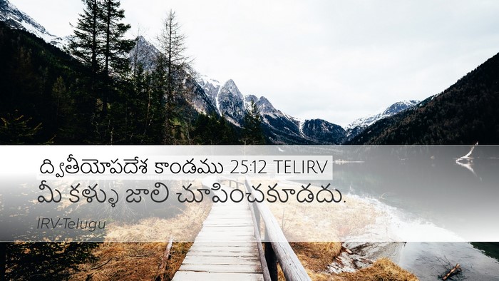 ద్వితీయోపదేశ కాండము 25:12 TELIRV Bible Verse Image