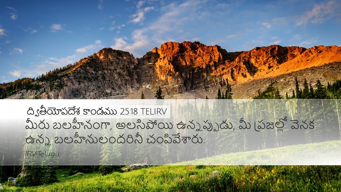 ద్వితీయోపదేశ కాండము 25:18 TELIRV Bible Verse Image