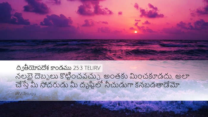 ద్వితీయోపదేశ కాండము 25:3 TELIRV Desktop Wallpaper - నలభై దెబ్బలు - Desktop Bible Verse Wallpaper