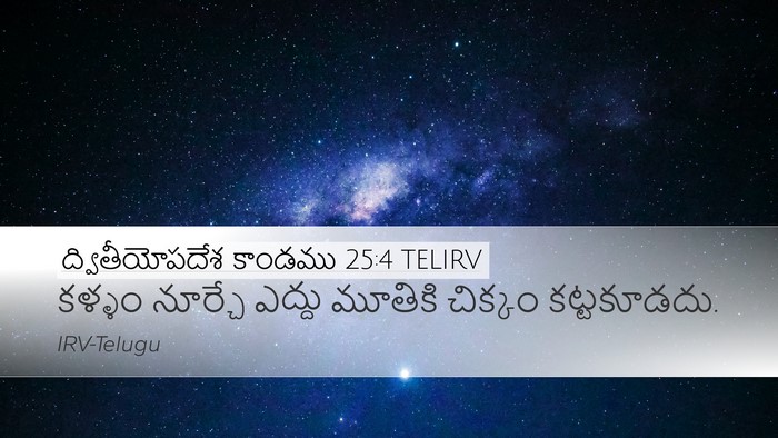 ద్వితీయోపదేశ కాండము 25:4 TELIRV Bible Verse Image