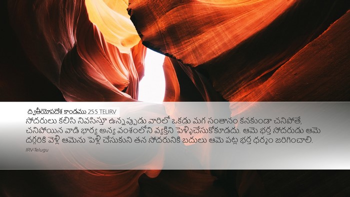 ద్వితీయోపదేశ కాండము 25:5 TELIRV Bible Verse Image