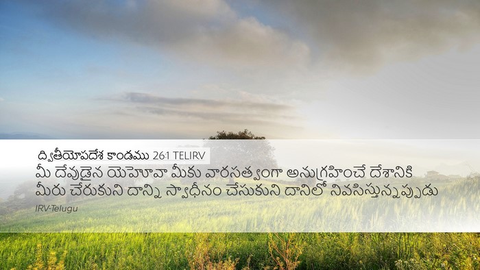 ద్వితీయోపదేశ కాండము 26:1 TELIRV Bible Verse Image