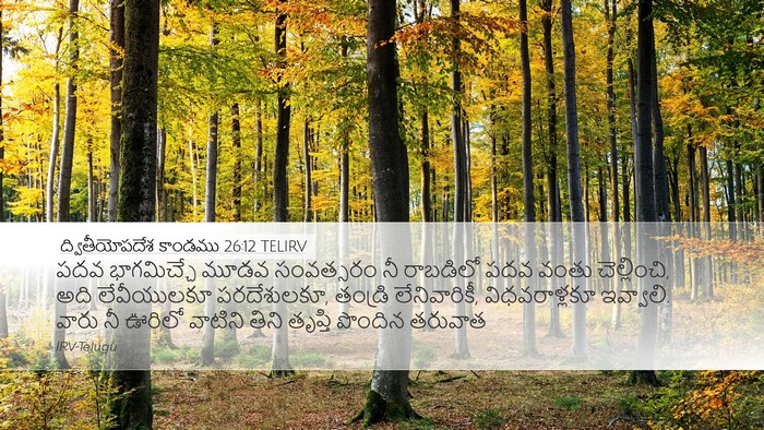 ద్వితీయోపదేశ కాండము 26:12 TELIRV Bible Verse Image