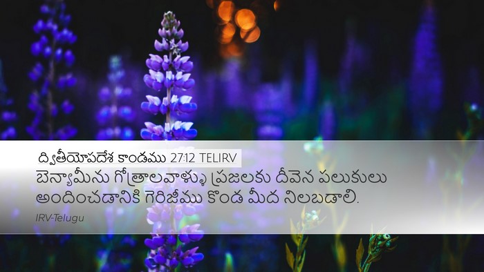 ద్వితీయోపదేశ కాండము 27:12 TELIRV Bible Verse Image