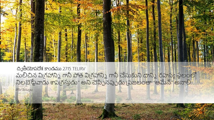 ద్వితీయోపదేశ కాండము 27:15 TELIRV Bible Verse Image