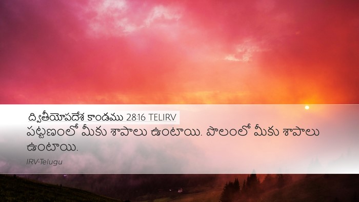 ద్వితీయోపదేశ కాండము 28:16 TELIRV Desktop Wallpaper - పట్టణంలో మీకు - Desktop Bible Verse Wallpaper