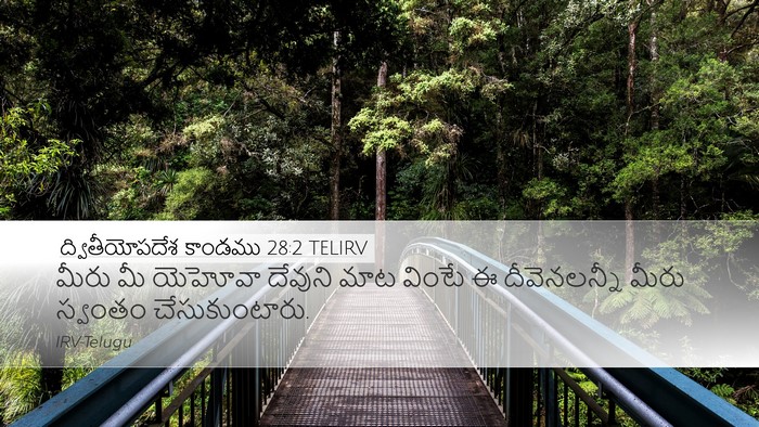 ద్వితీయోపదేశ కాండము 28:2 TELIRV Bible Verse Image