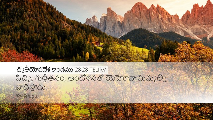 ద్వితీయోపదేశ కాండము 28:28 TELIRV Bible Verse Image