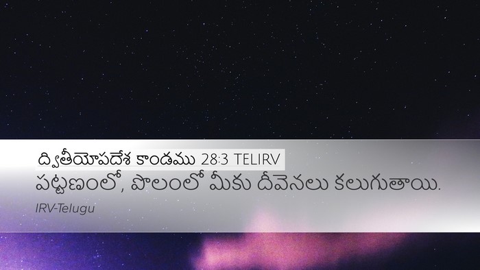 ద్వితీయోపదేశ కాండము 28:3 TELIRV Bible Verse Image