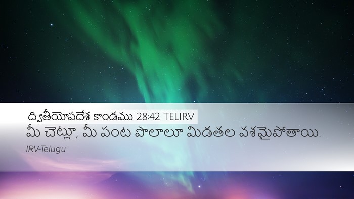 ద్వితీయోపదేశ కాండము 28:42 TELIRV Bible Verse Image