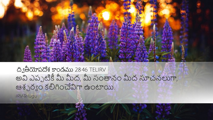 ద్వితీయోపదేశ కాండము 28:46 TELIRV Bible Verse Image