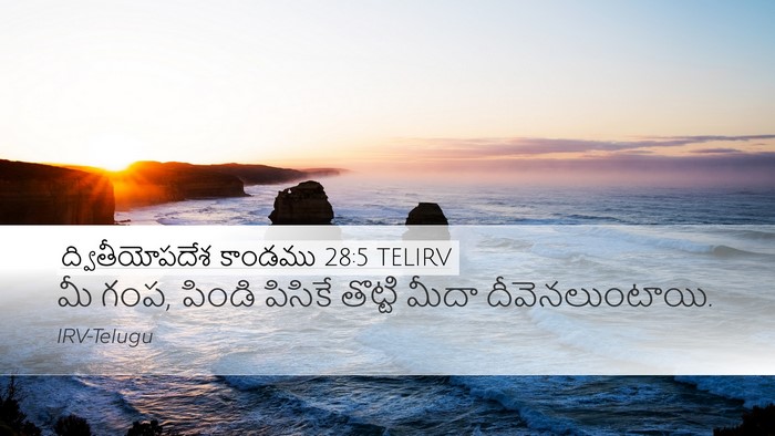 ద్వితీయోపదేశ కాండము 28:5 TELIRV Desktop Wallpaper - మీ గంప, పిండి - Desktop Bible Verse Wallpaper