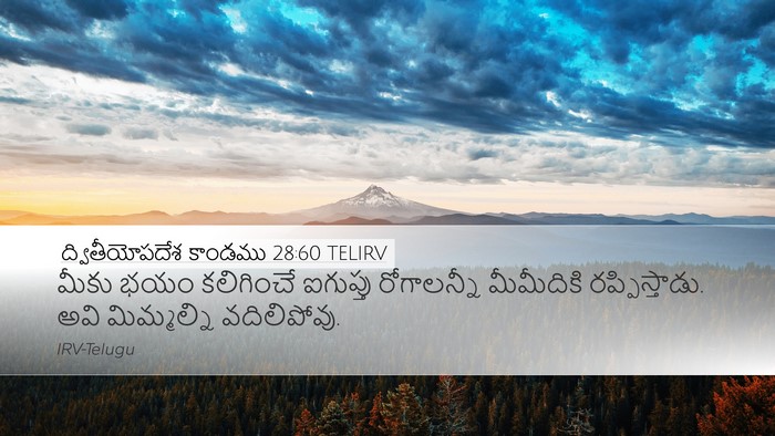 ద్వితీయోపదేశ కాండము 28:60 TELIRV Bible Verse Image
