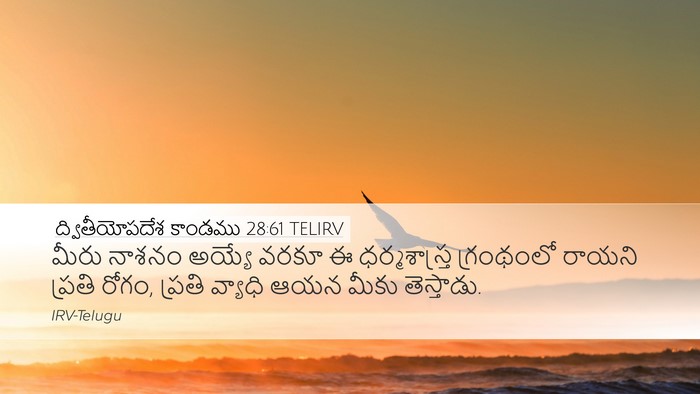 ద్వితీయోపదేశ కాండము 28:61 TELIRV Desktop Wallpaper - మీరు నాశనం అయ్యే - Desktop Bible Verse Wallpaper