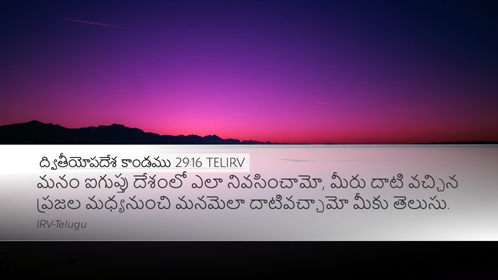 ద్వితీయోపదేశ కాండము 29:16 TELIRV Bible Verse Image