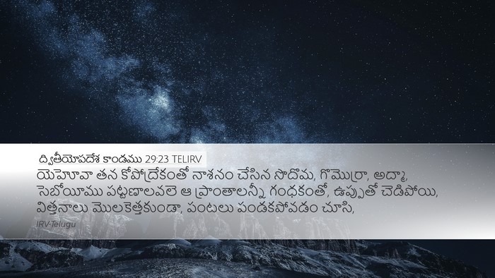 ద్వితీయోపదేశ కాండము 29:23 TELIRV Bible Verse Image