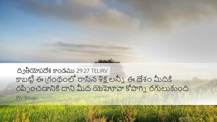 ద్వితీయోపదేశ కాండము 29:27 TELIRV Bible Verse Image