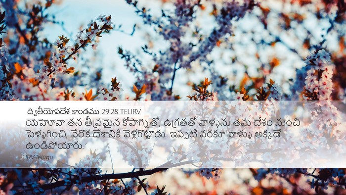 ద్వితీయోపదేశ కాండము 29:28 TELIRV Bible Verse Image