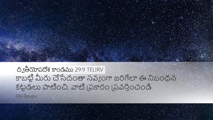 ద్వితీయోపదేశ కాండము 29:9 TELIRV Desktop Wallpaper - కాబట్టి మీరు - Desktop Bible Verse Wallpaper