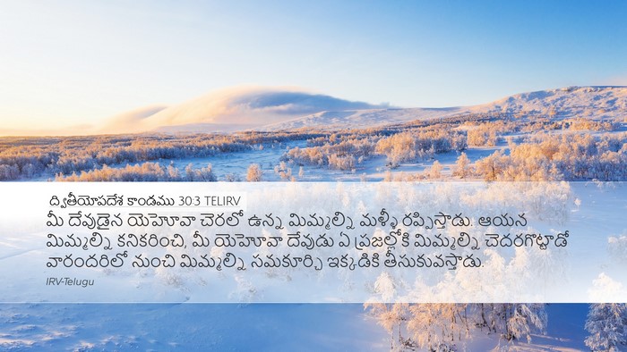 ద్వితీయోపదేశ కాండము 30:3 TELIRV Bible Verse Image
