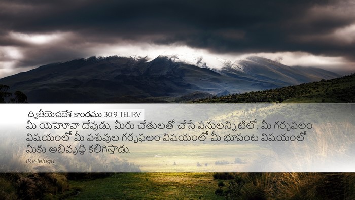 ద్వితీయోపదేశ కాండము 30:9 TELIRV Bible Verse Image