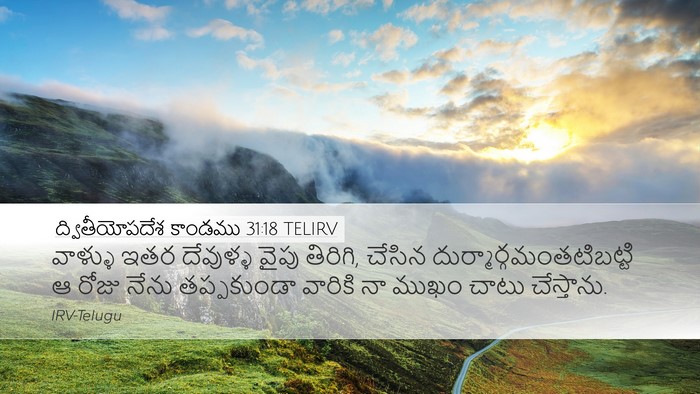ద్వితీయోపదేశ కాండము 31:18 TELIRV Desktop Wallpaper - వాళ్ళు ఇతర - Desktop Bible Verse Wallpaper