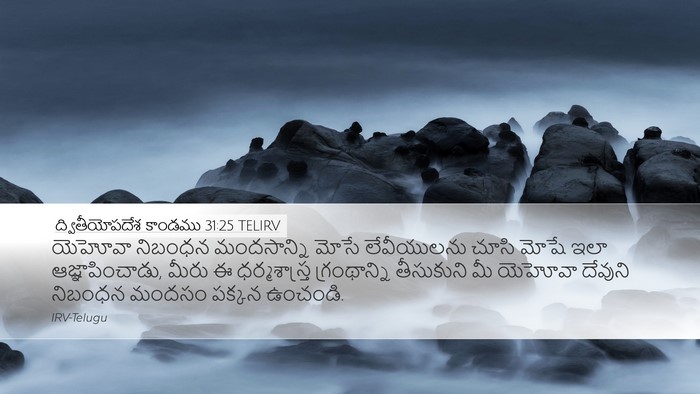 ద్వితీయోపదేశ కాండము 31:25 TELIRV Bible Verse Image