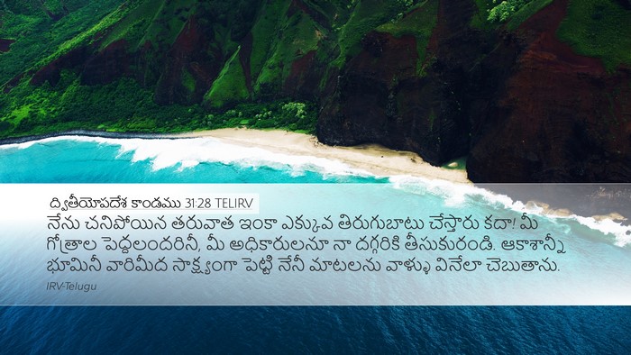 ద్వితీయోపదేశ కాండము 31:28 TELIRV Bible Verse Image