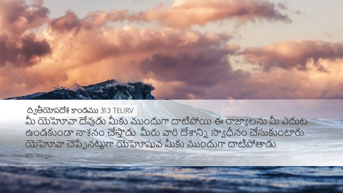 ద్వితీయోపదేశ కాండము 31:3 TELIRV Bible Verse Image