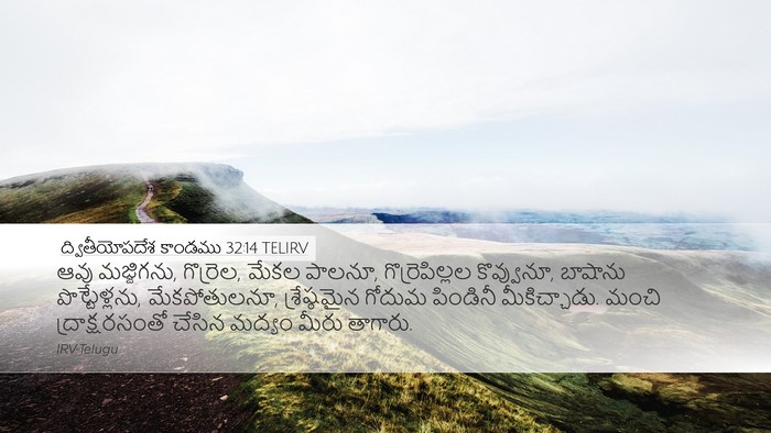 ద్వితీయోపదేశ కాండము 32:14 TELIRV Bible Verse Image